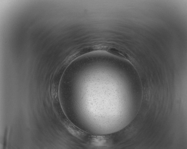 X0000081450091200701191725