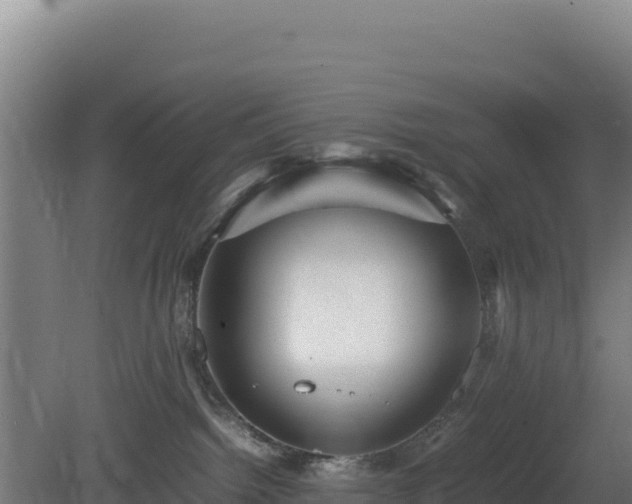 X0000081450092200701191725