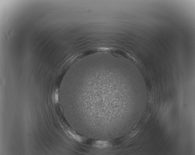 X0000081450095200701191725