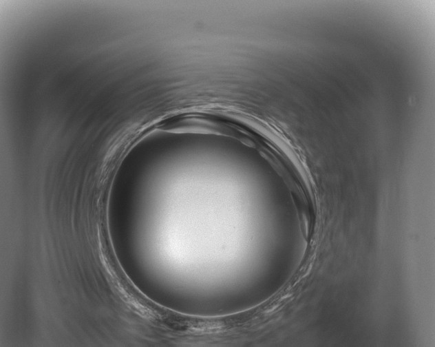 X0000081450097200701191724