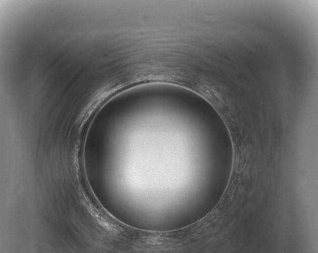 X0000081450098200701191724