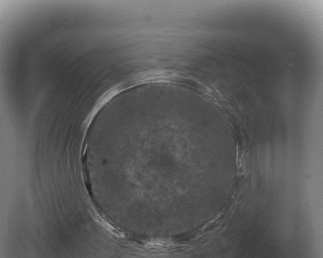 X0000081450099200701191724