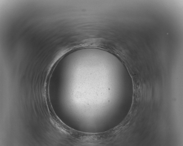 X0000081450100200701191724