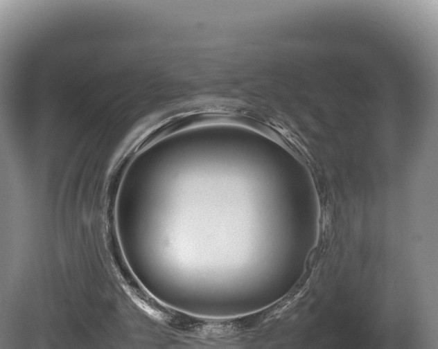 X0000081450101200701191724