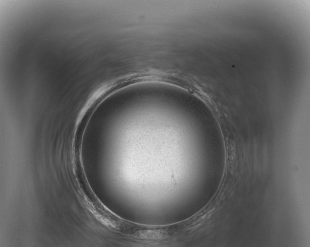 X0000081450102200701191724