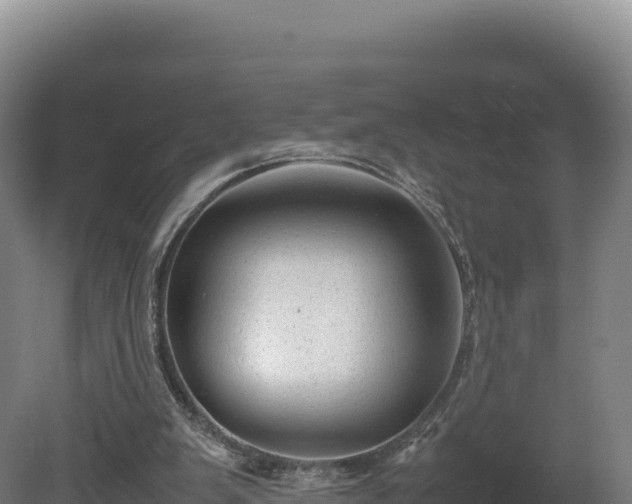 X0000081450103200701191724