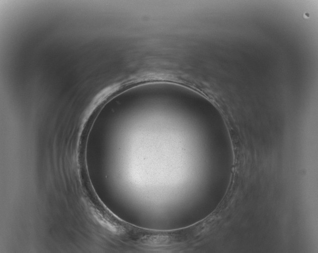 X0000081450104200701191724