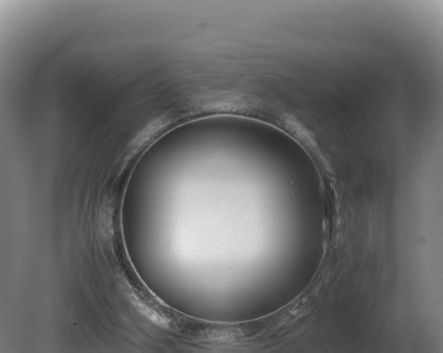 X0000081450106200701191724