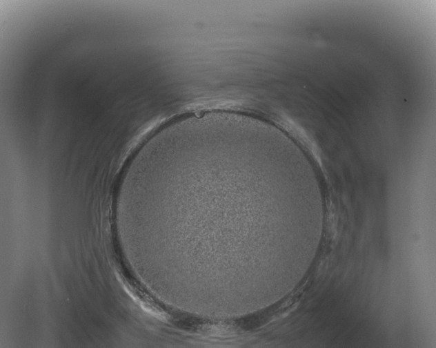 X0000081450107200701191724