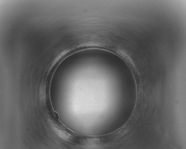 X0000081450108200701191724