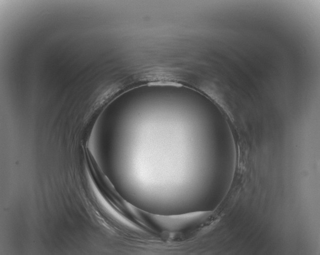 X0000081450109200701191724