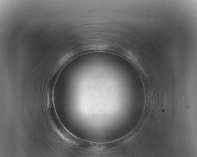 X0000081450110200701191724