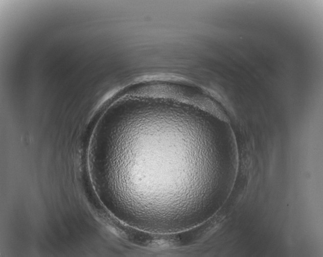 X0000081450111200701191724