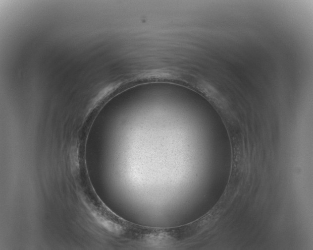 X0000081450112200701191724