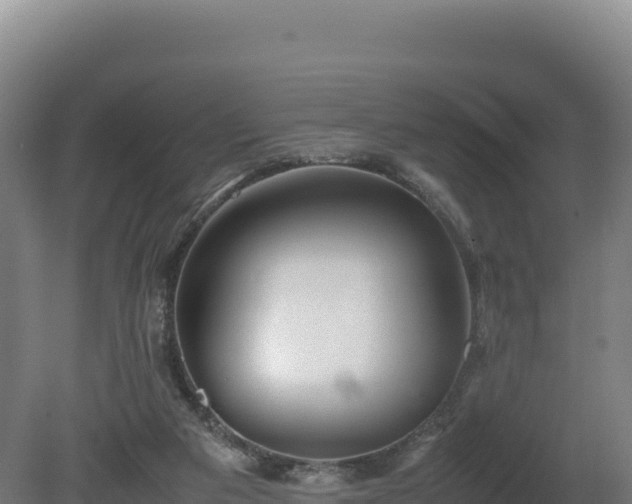 X0000081450113200701191724