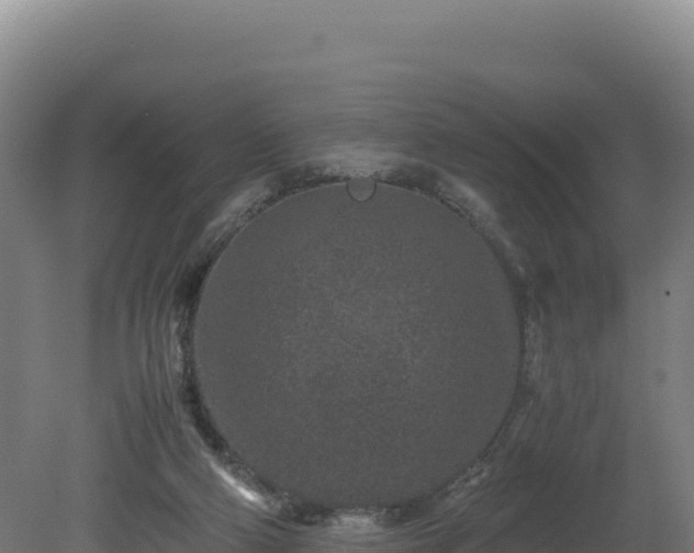 X0000081450114200701191724