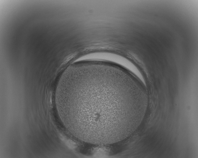 X0000081450115200701191724