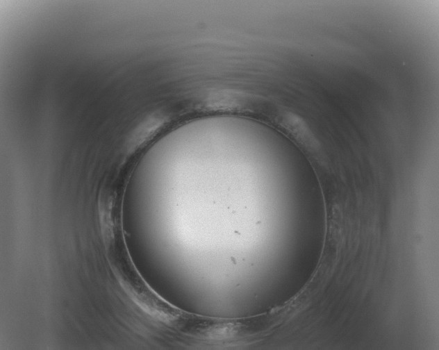 X0000081450116200701191724