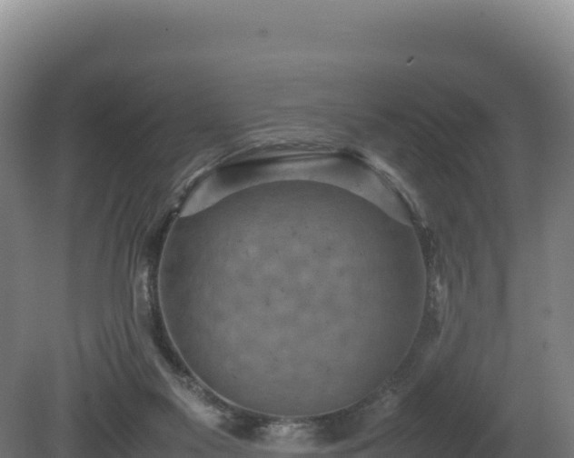 X0000081450117200701191724