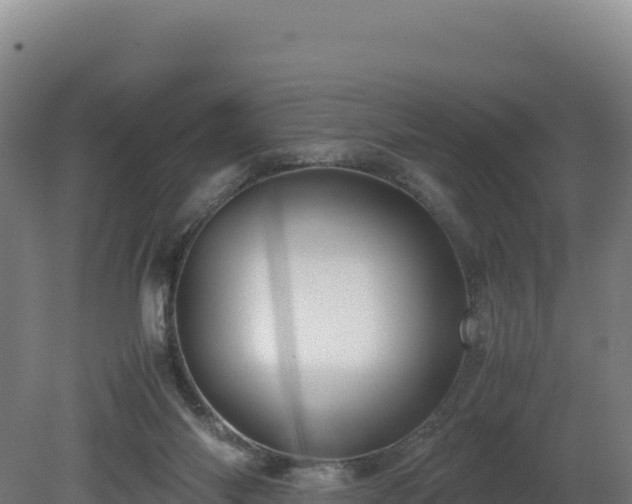 X0000081450118200701191724