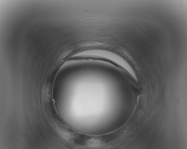 X0000081450119200701191724