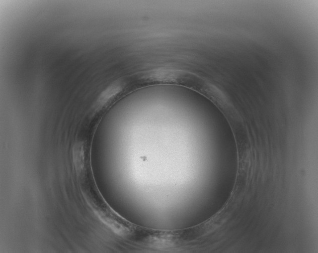 X0000081450120200701191724