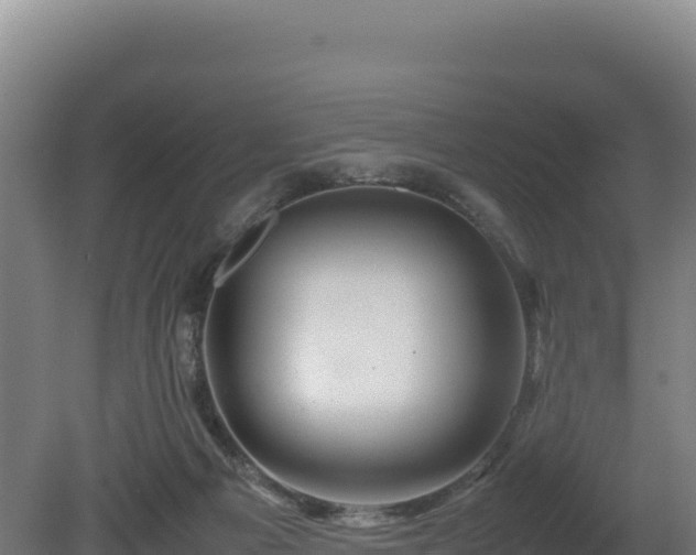 X0000081450121200701191724