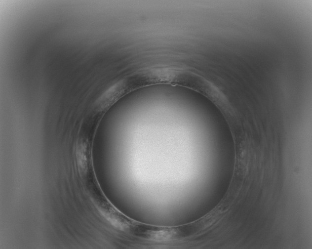 X0000081450122200701191724