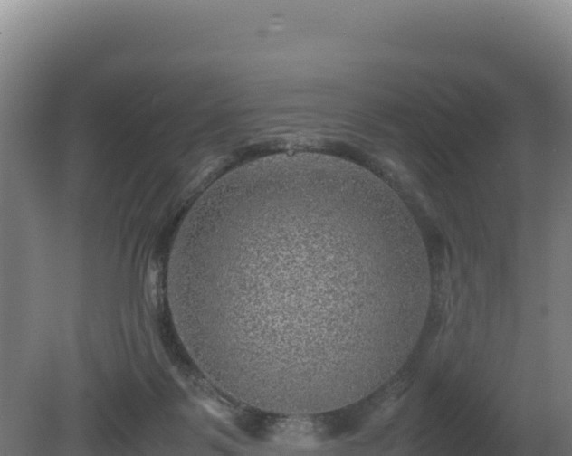 X0000081450123200701191724