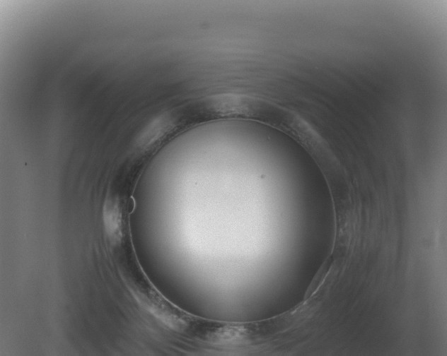 X0000081450124200701191724