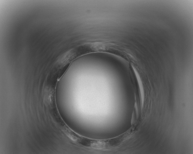 X0000081450125200701191724