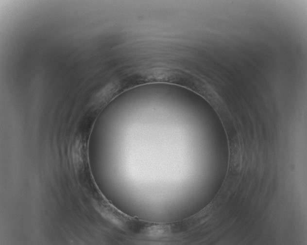 X0000081450126200701191724