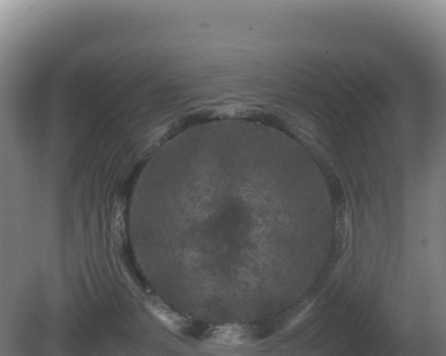 X0000081450127200701191724