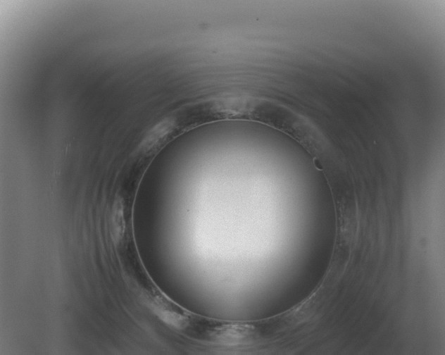 X0000081450128200701191724