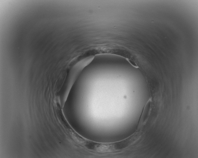 X0000081450129200701191724