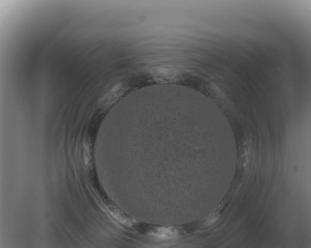 X0000081450130200701191724