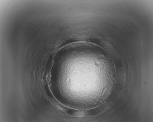 X0000081450131200701191724