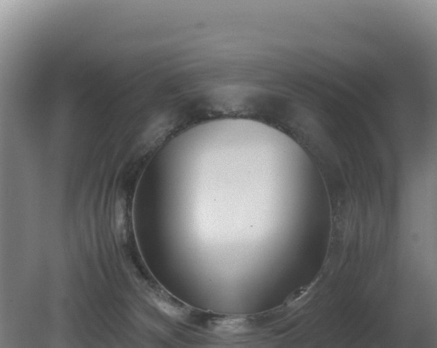 X0000081450132200701191724