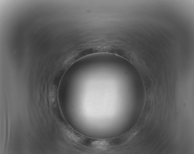 X0000081450133200701191724