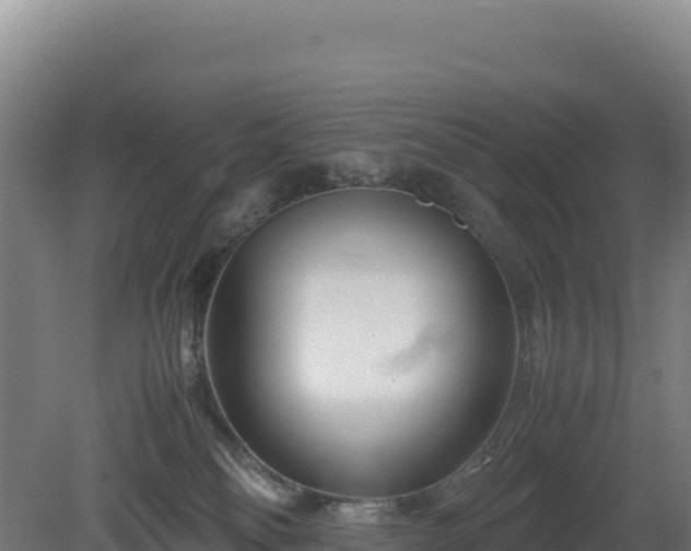 X0000081450134200701191724