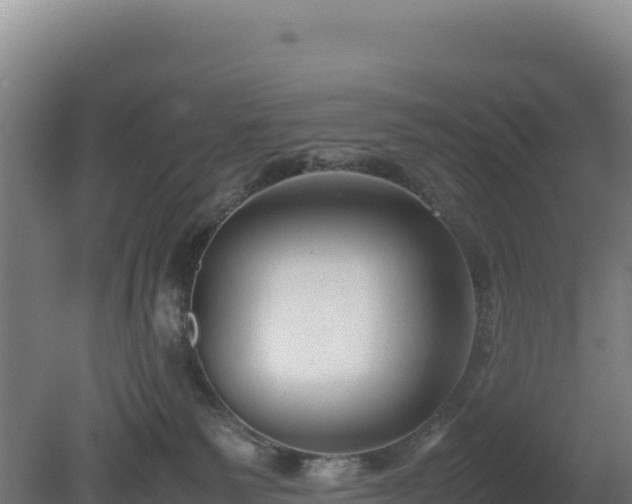 X0000081450135200701191724