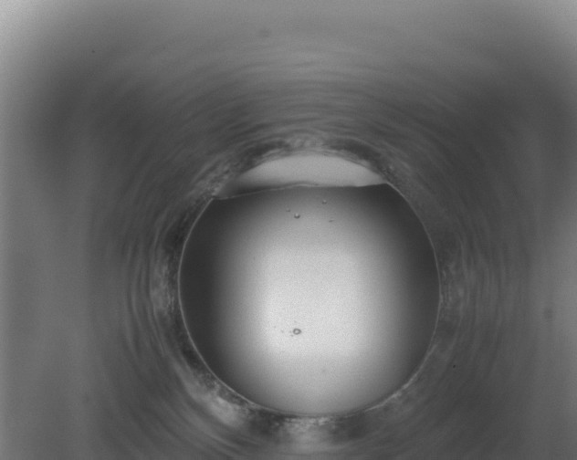 X0000081450136200701191724