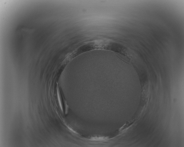 X0000081450137200701191724