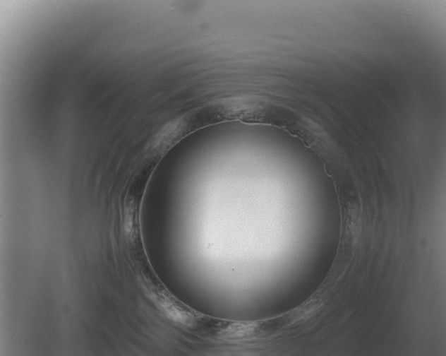 X0000081450138200701191723