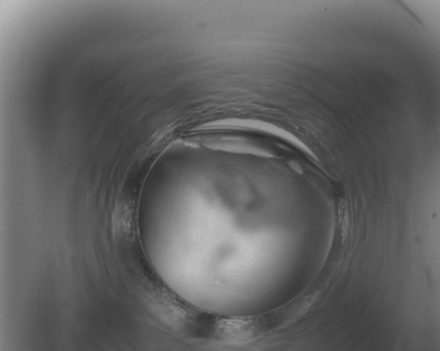 X0000081450139200701191723