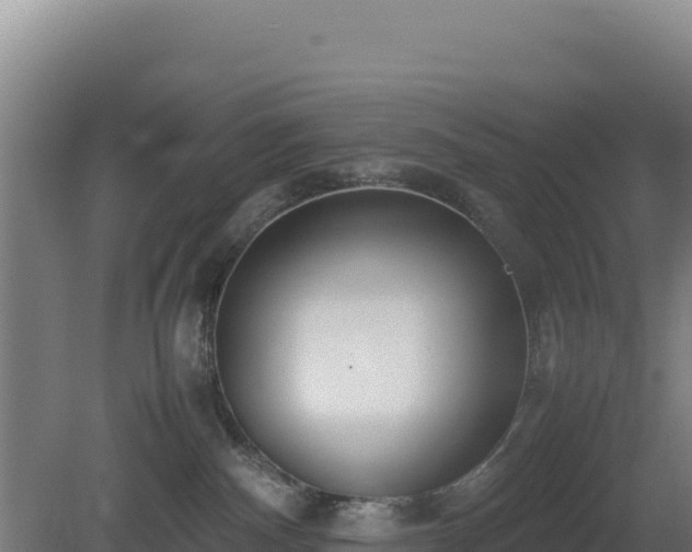 X0000081450140200701191723