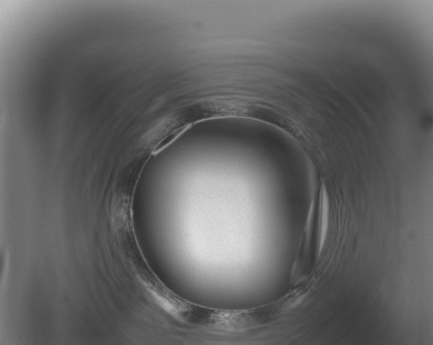 X0000081450141200701191723