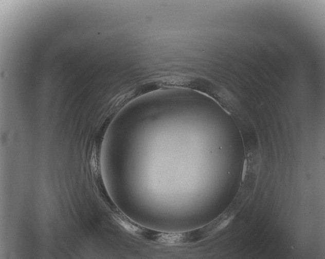 X0000081450143200701191723