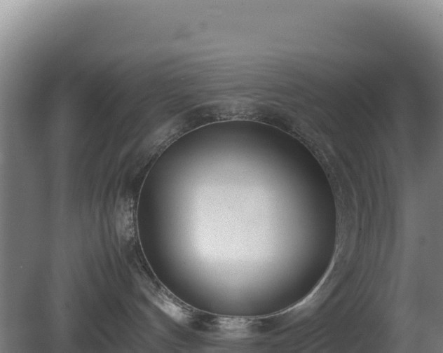 X0000081450144200701191723