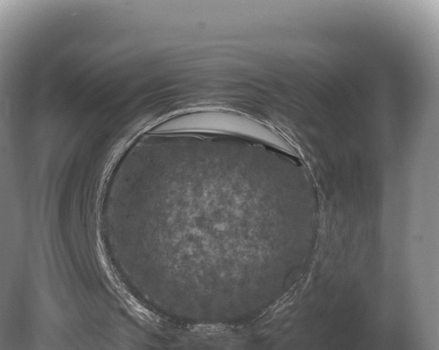 X0000081450145200701191723